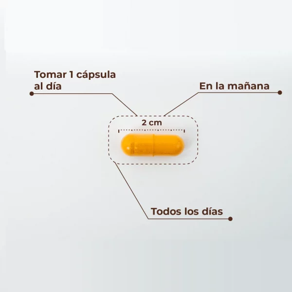 KOBHO CÚRCUMA + PIMIENTA NEGRA - Imagen 2
