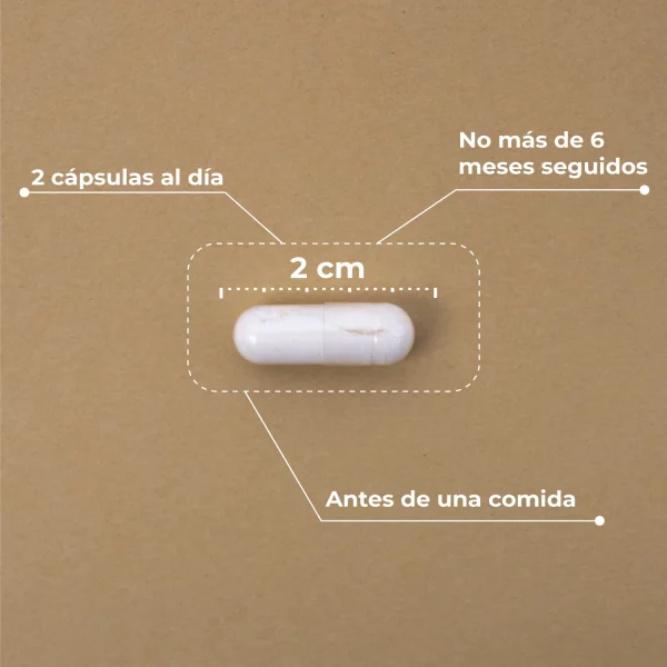 KOBHO PRE-POST PROBIÓTICO - Imagen 2