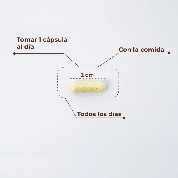 KOBHO TRANS RESVERATROL + QUERCETINA - Imagen 2