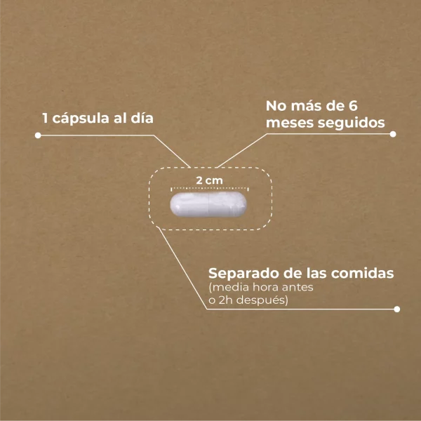 KOBHO ÁCIDO ALFA-LIPOICO - Imagen 2
