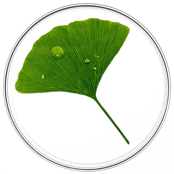 PHYTO PHYTOCYANE MUJER CAIDA REACCIONAL 12X5ml - Imagen 2
