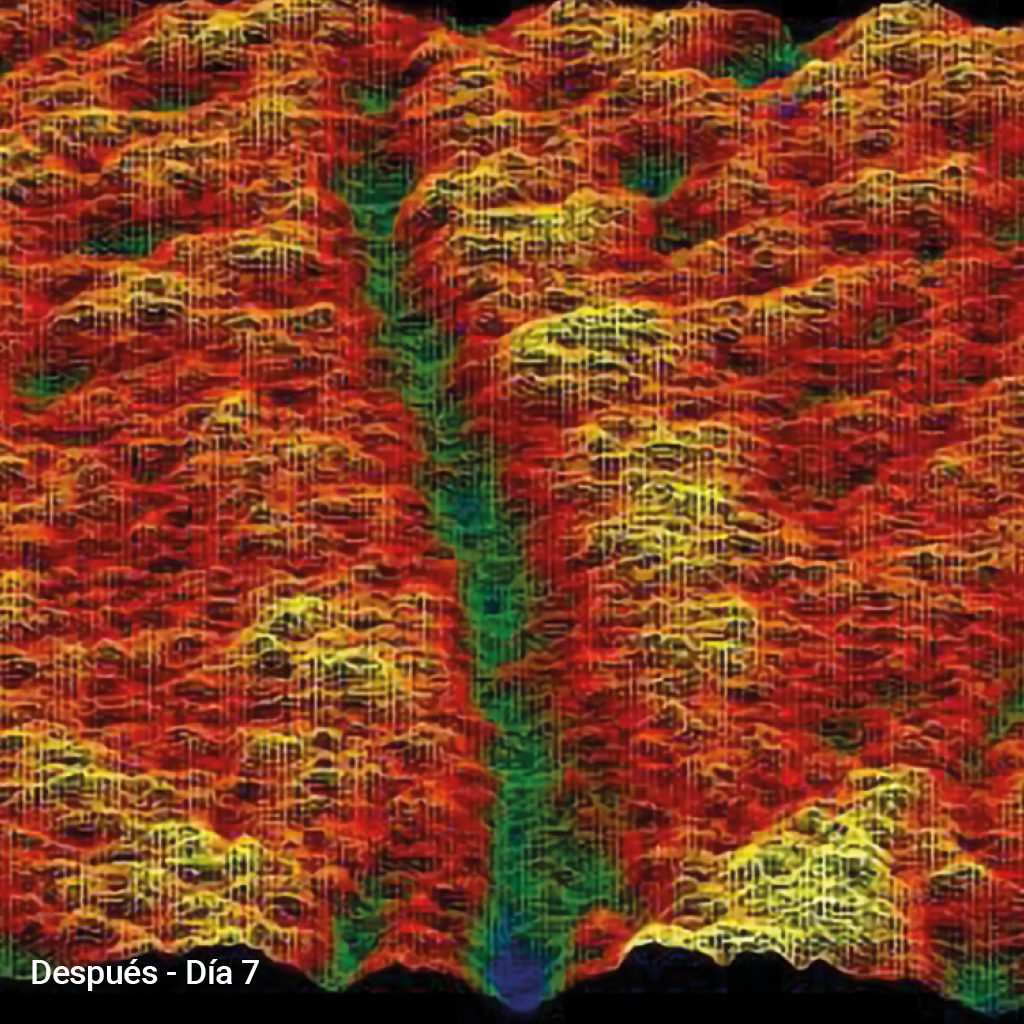 PRIMADERM XPERT EXPRESSION SERUM SUBLIME™ 50 ml - Imagen 4