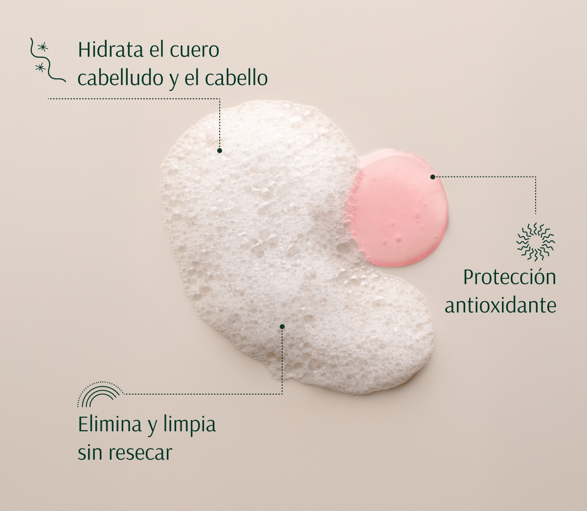 TARA CHAMPÚ HIDRATANTE FRESA + NMF 267ml - Imagen 2