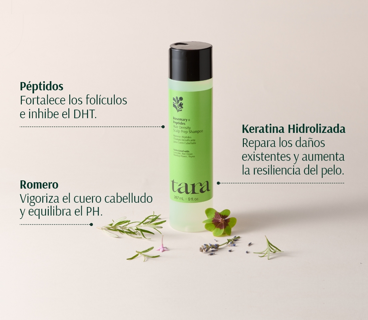 TARA ROMERO + PÉPTIDOS CHAMPÚ DENSIFICANTE 267ml - Imagen 3