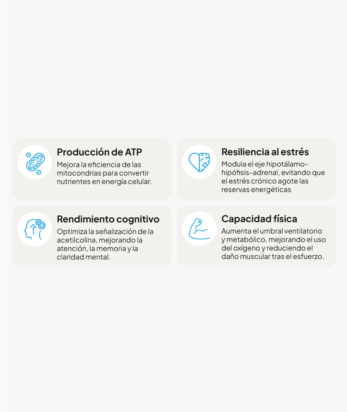 IVB Energy UP 60 Cápsulas - Imagen 3