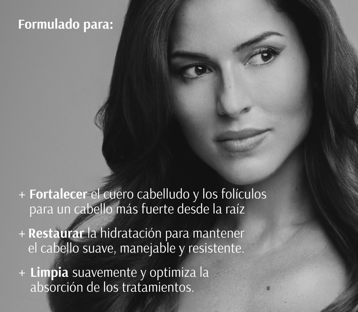 TARA CHAMPÚ REVITALIZANTE 267ml - Imagen 4