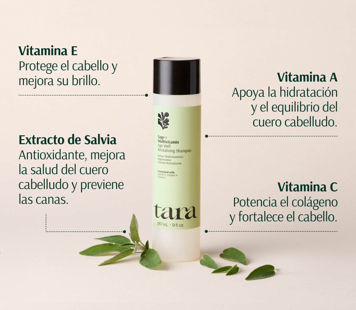 TARA SALVIA + MULTIVITAMINICO CHAMPÚ REVITALIZANTE 267ml - Imagen 6