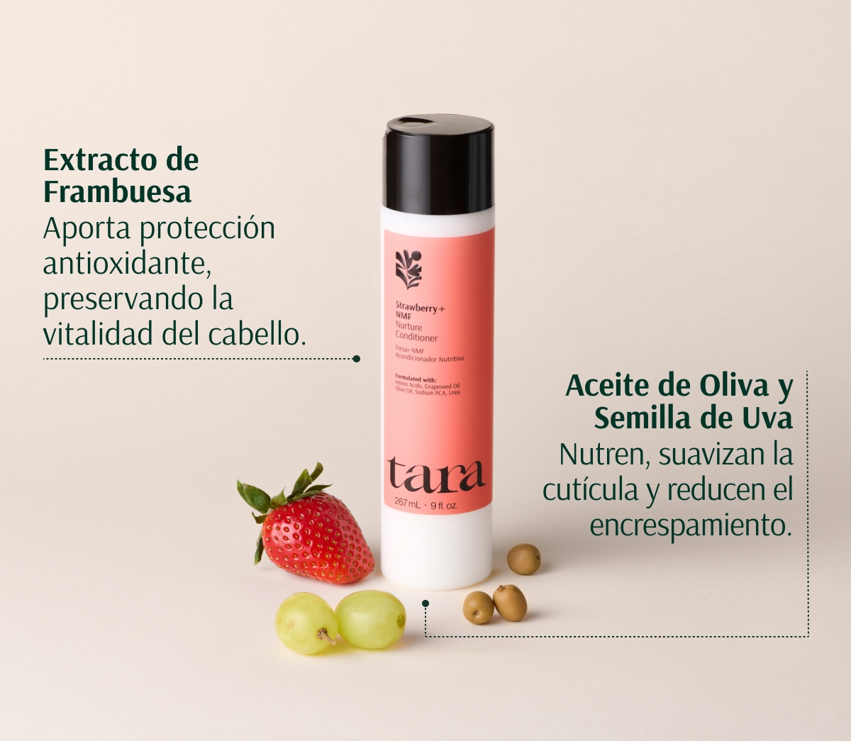 TARA ACONDICIONADOR HIDRATANTE FRESA + NMF 267ml - Imagen 5