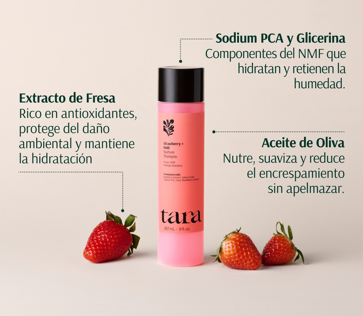 TARA CHAMPÚ HIDRATANTE FRESA + NMF 267ml - Imagen 5