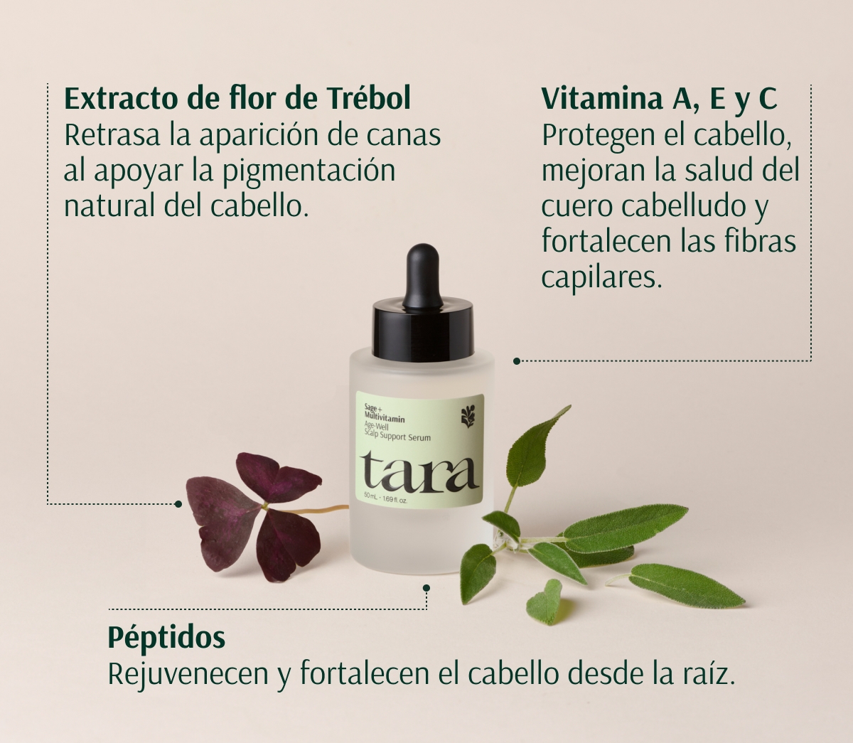 TARA SALVIA + MULTIVITAMINICO SERUM DE APOYO CAPILAR AGE-WELL 50ml - Imagen 5