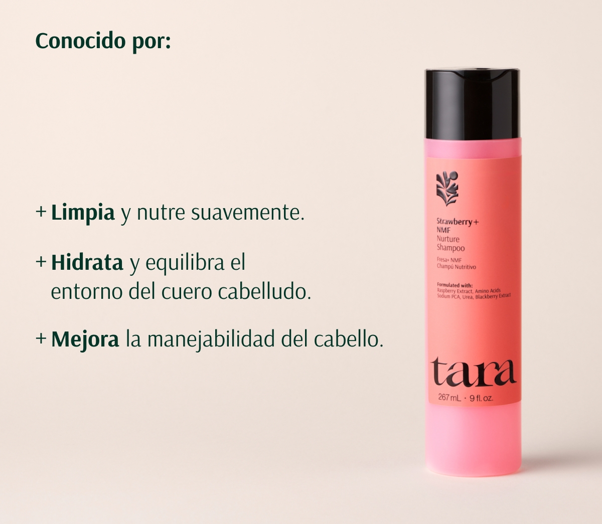 TARA CHAMPÚ HIDRATANTE FRESA + NMF 267ml - Imagen 6