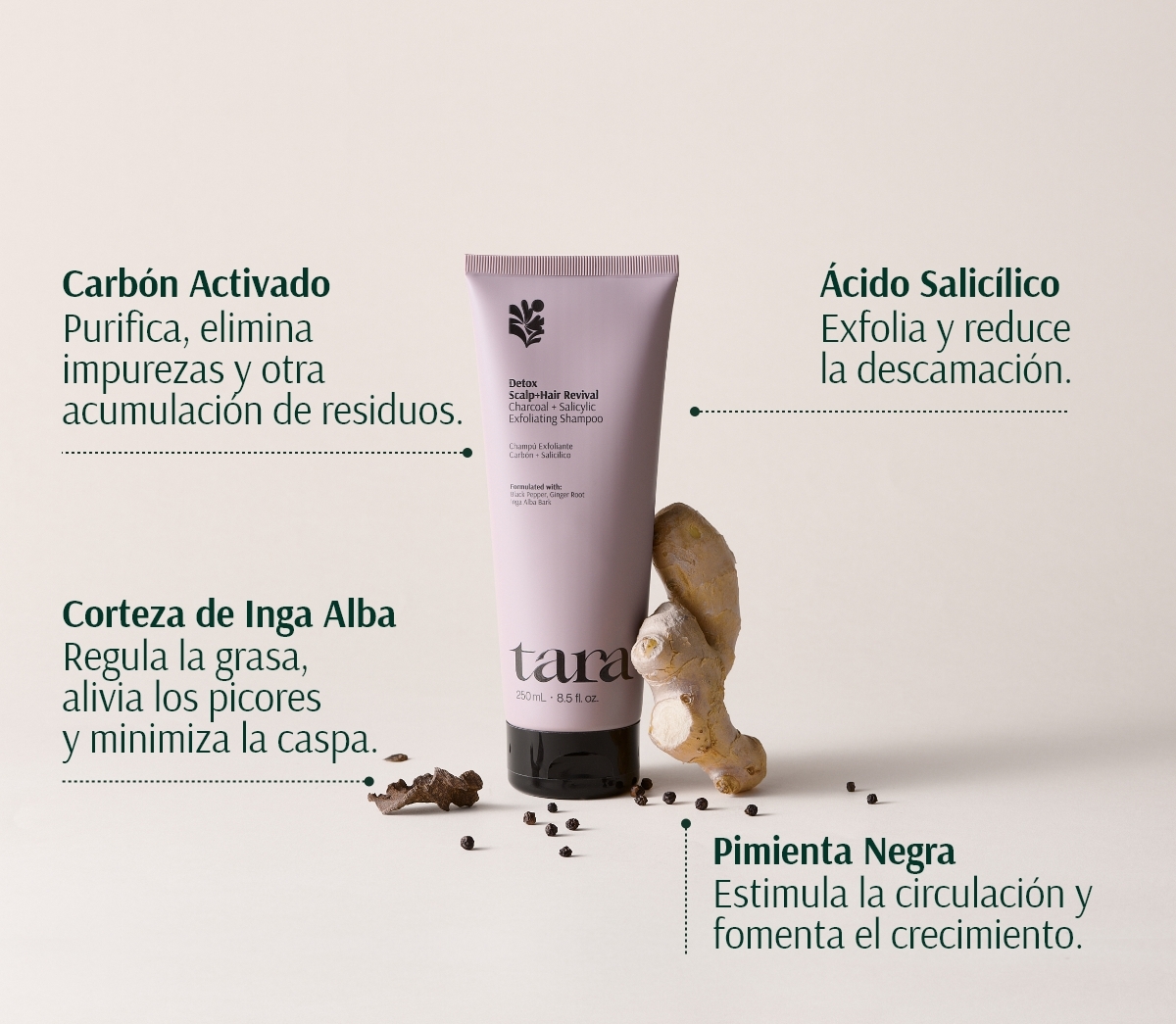 TARA DETOX CHAMPÚ EXFOLIANTE CARBÓN + SALICÍLICO 250ml - Imagen 6