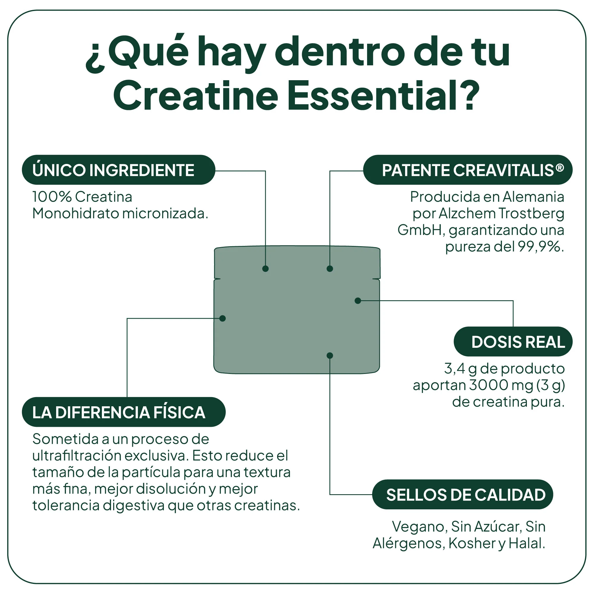 IVB CREATINE Essential 60 TOMAS - Imagen 3
