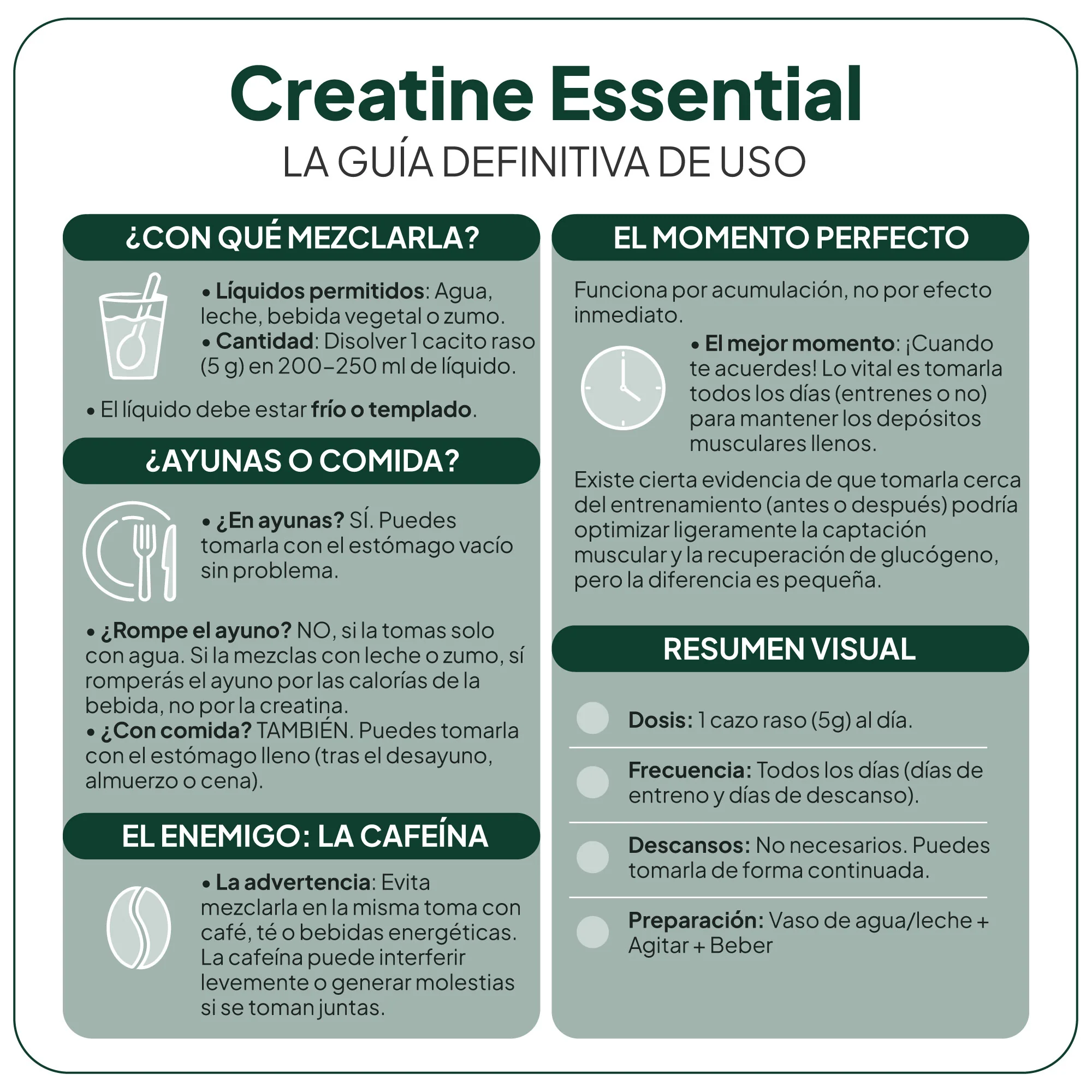 IVB CREATINE Essential 60 TOMAS - Imagen 4