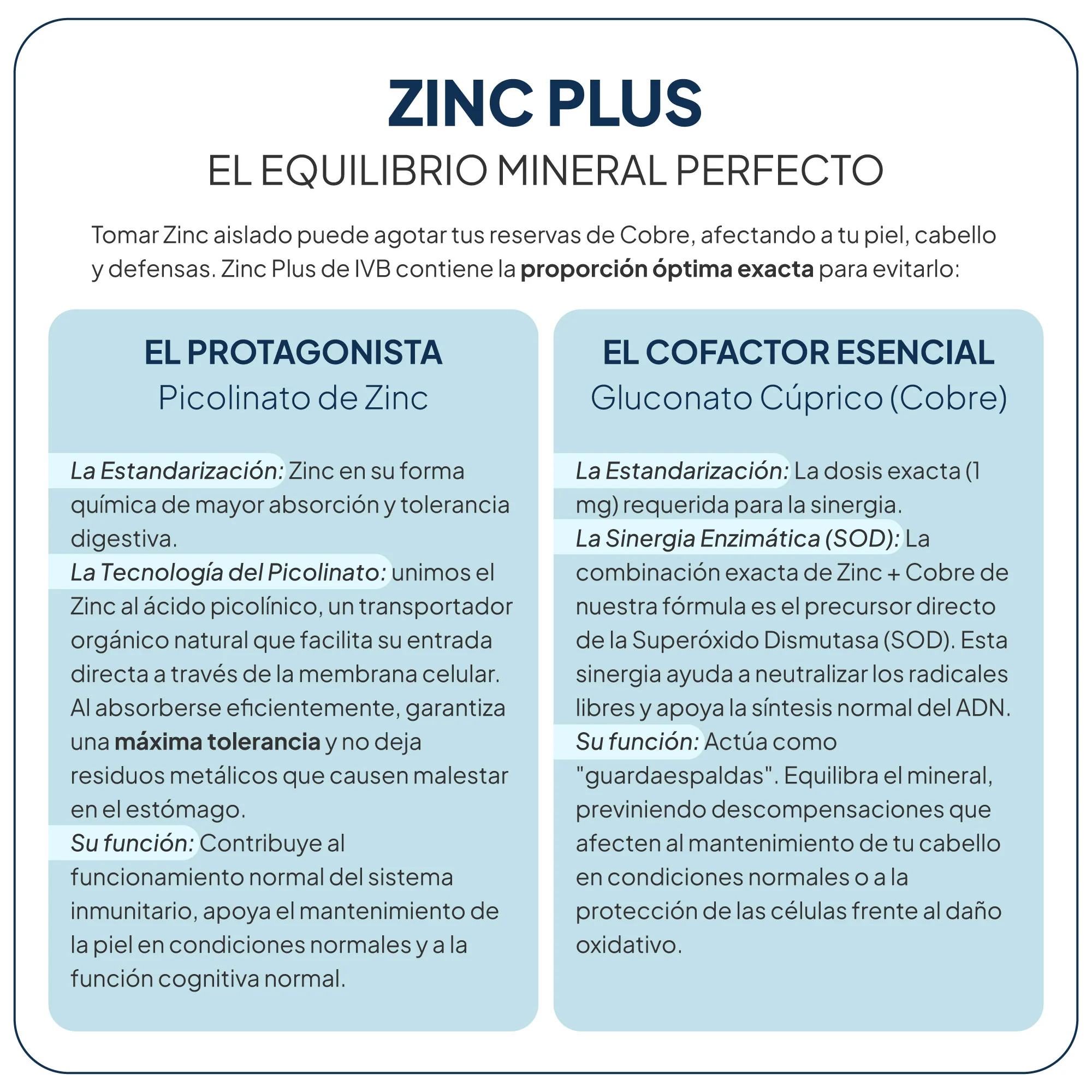 IVB Zinc Plus 60 Cápsulas - Imagen 2