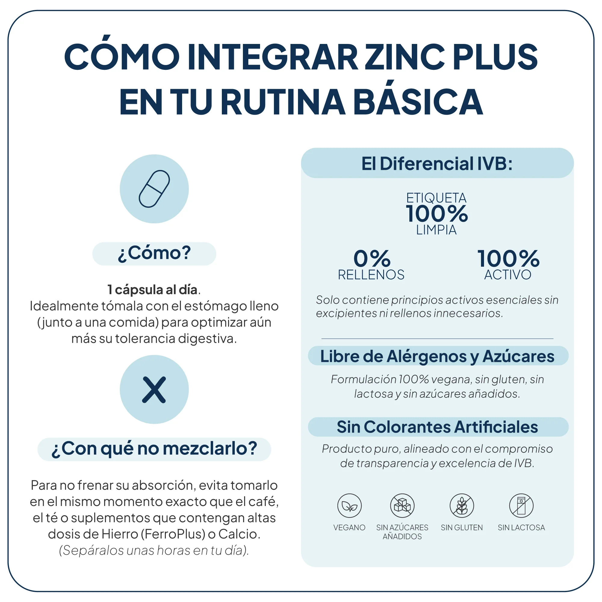 IVB Zinc Plus 60 Cápsulas - Imagen 4